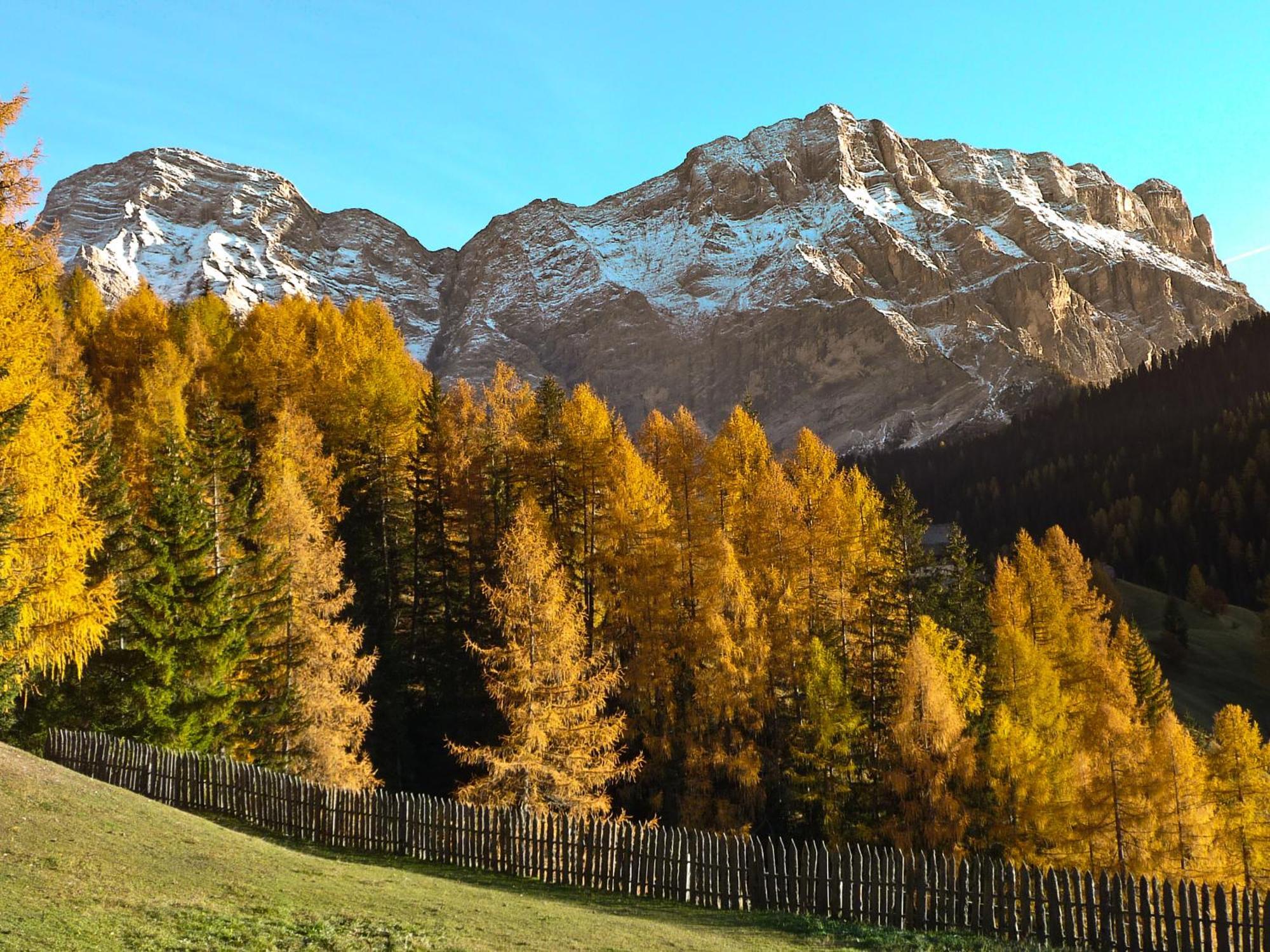 Apartment Ciasa Laoi San Cassiano  Kültér fotó
